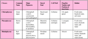 Plant Kingdom: Classification, Characteristics, Examples 1