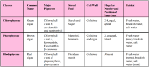 Plant Kingdom: Classification, Characteristics, Examples 2