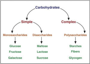Classification of Carbohydrates (Types of Carbohydrates)