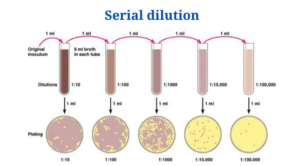 Serial dilution