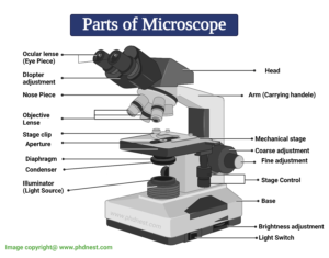 Parts of a Microscope and their Functions: