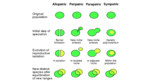 Types of Speciation