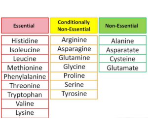 Nutritional categorization of amino acids