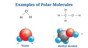 Polar Molecules Examples