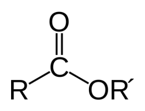 Ester General Structure