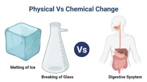 Physical Vs Chemical Change: Definition, Differences, Examples