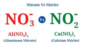 Nitrate Vs Nitrite: Definition, Differences, Examples