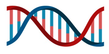Genetic Engineering- PhD Nest