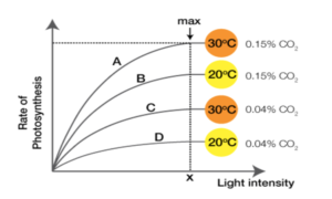 Factors Affecting Photosynthesis: Blackman's Principle, Law of limiting Factors