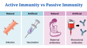 20+ Differences between Active Immunity and Passive Immunity