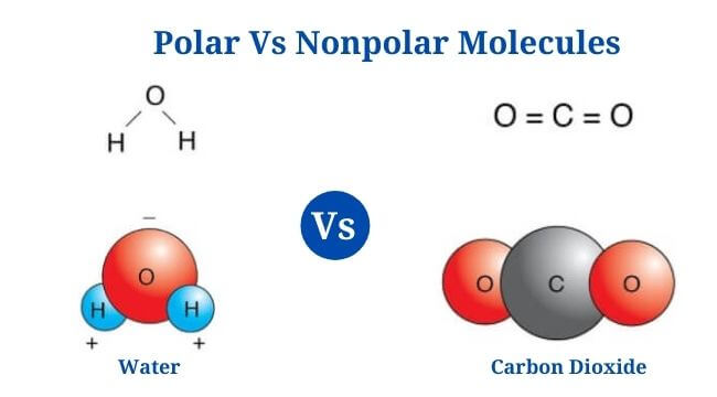 Polar Vs Nonpolar Molecules: Definition, Differences, Examples - PhD Nest