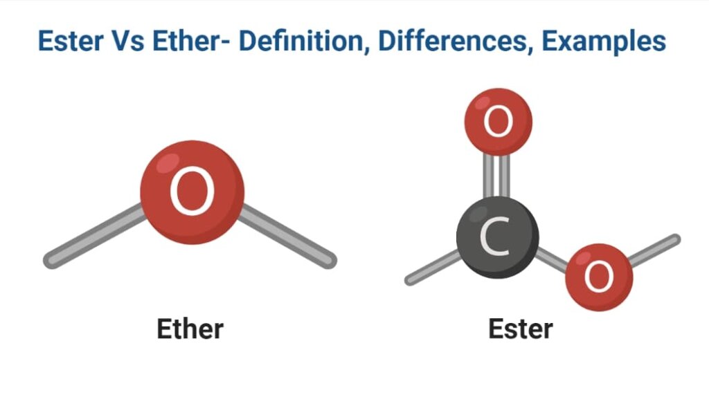 Ester Vs Ether- Definition, Differences, Examples