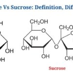 Glucose Vs Sucrose: Definition and Key Differences   1