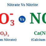 Nitrate Vs Nitrite: Definition, Differences, Examples