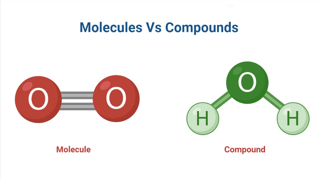 Molecules Vs Compounds: Definition, Differences, Examples  