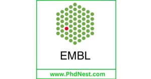 Postdoctoral Fellowship Position at European Molecular Biology Laboratory (EMBL), Germany