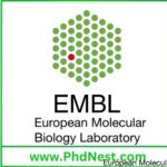 Postdoctoral Fellowship at European Molecular Biology Laboratory (EMBL), Germany