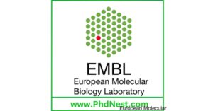 Postdoctoral Fellowship at European Molecular Biology Laboratory (EMBL), Germany