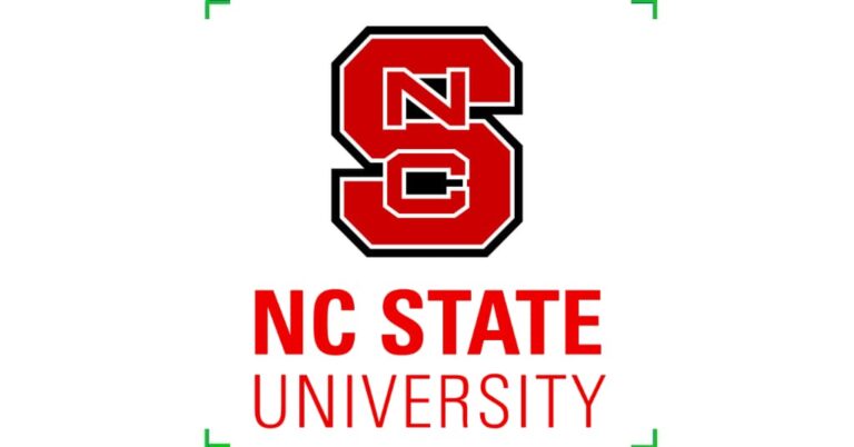 Postdoctoral Fellowship at North Carolina State University, USA