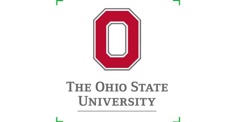 Postdoctoral Fellowship at Ohio State University, United States