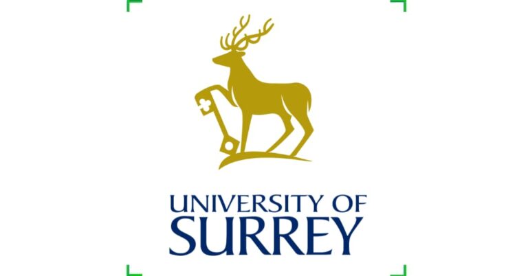 Postdoctoral Fellowship at University of Surrey, England
