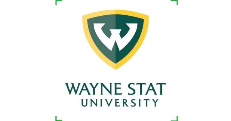 Postdoctoral Fellowship at Wayne State University, Michigan, United States