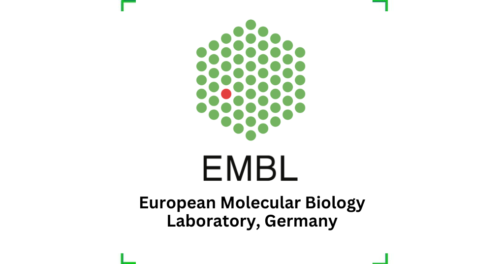 04 Postdoctoral Fellowship at European Molecular Biology Laboratory ...